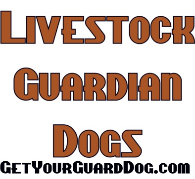 Livestock Guardian Dogs